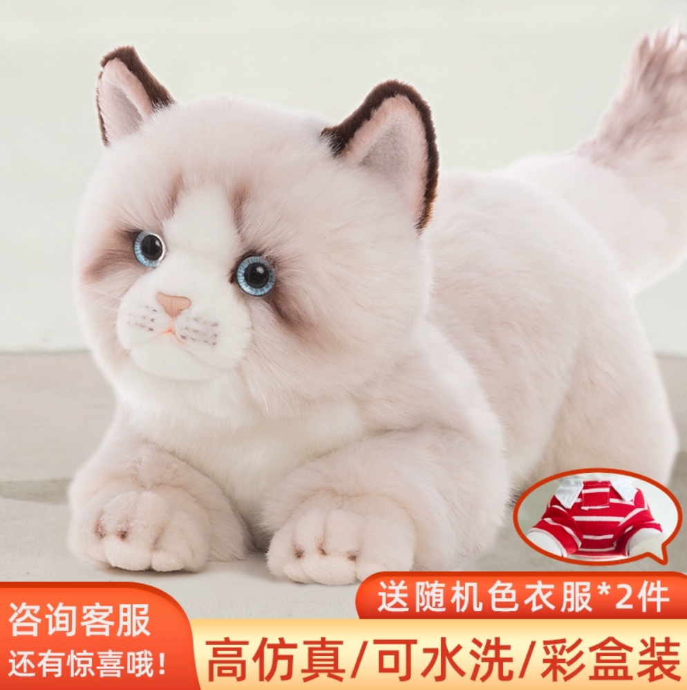 科迈特布偶猫玩偶仿真猫咪玩具毛绒抱睡公仔可爱娃娃宠物送女朋友